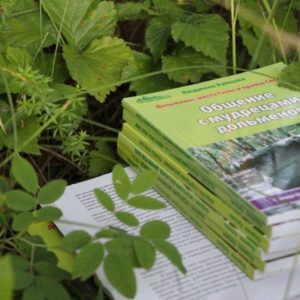 О чём серия книг Л.М.Купцовой? В чём их различие и с какой книги начать?