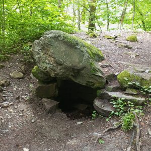 Дэльт (жизнь из прошлого в будущее)