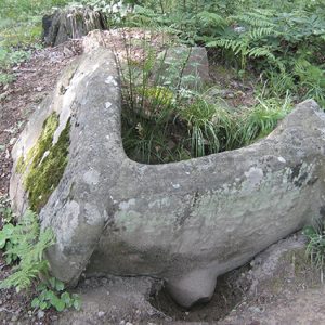 Рад (радость творчества)