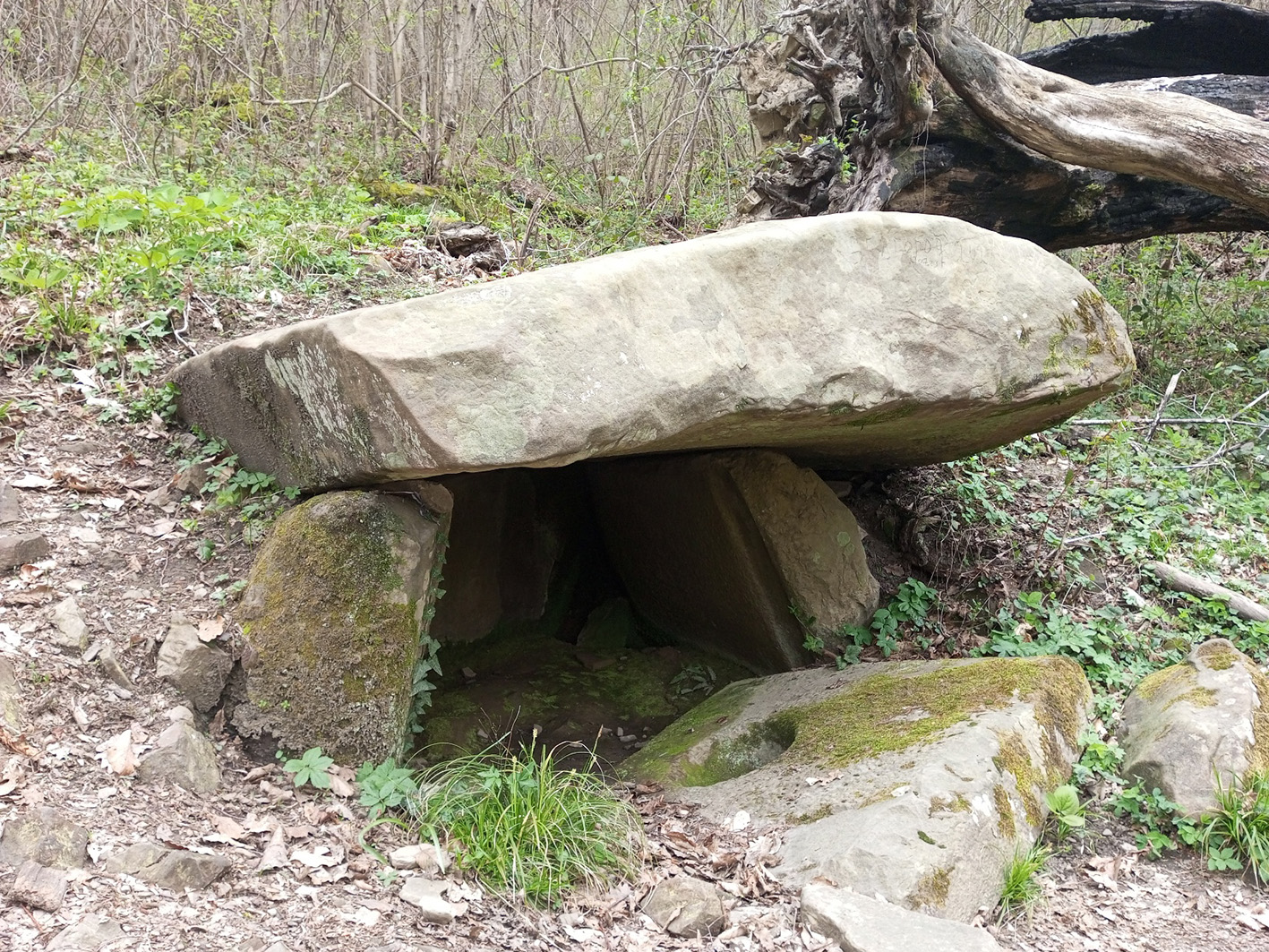 Власт (помощь)